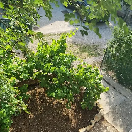 Mari Apartament *